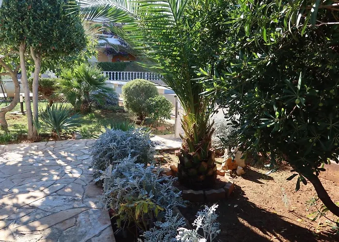 Tin By Interhome ויר