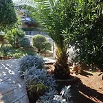Tin By Interhome Vir